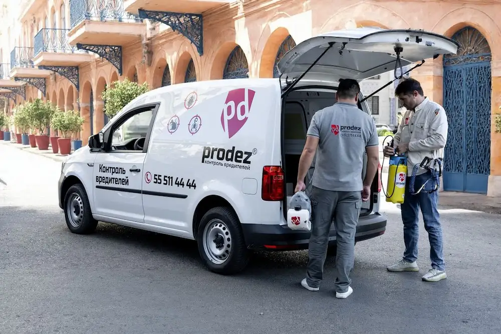 Бригада Prodez выгружает оборудование из фирменного фургона